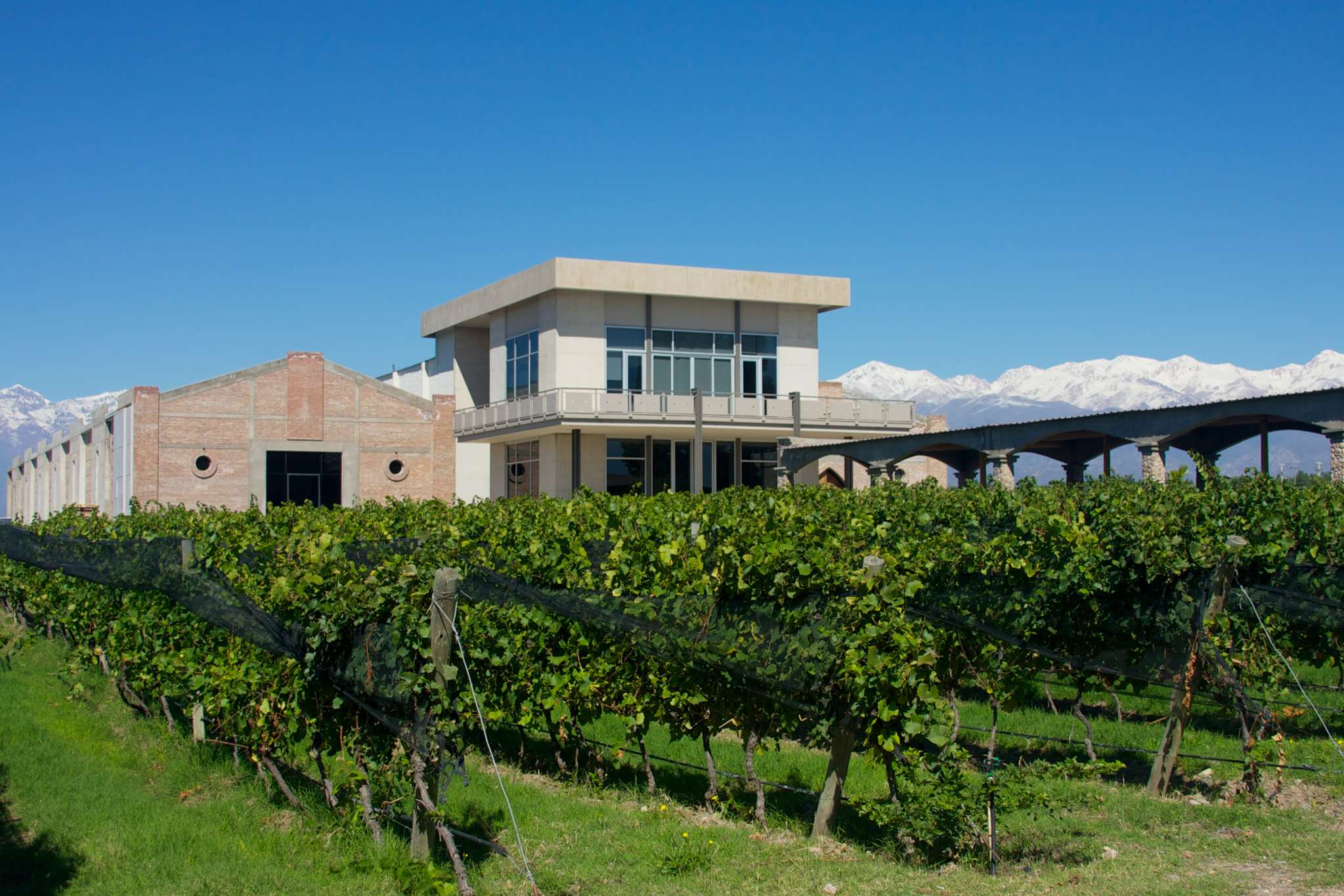 Domaine Bousquet - The Perfect Wine Tours - Mendoza 