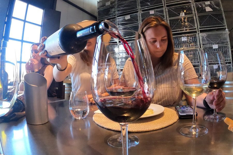 A Wine Tour Of Valle De Uco