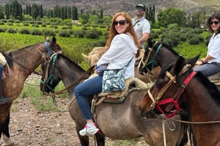 Horseriding in the Andes (Valle de Uco)