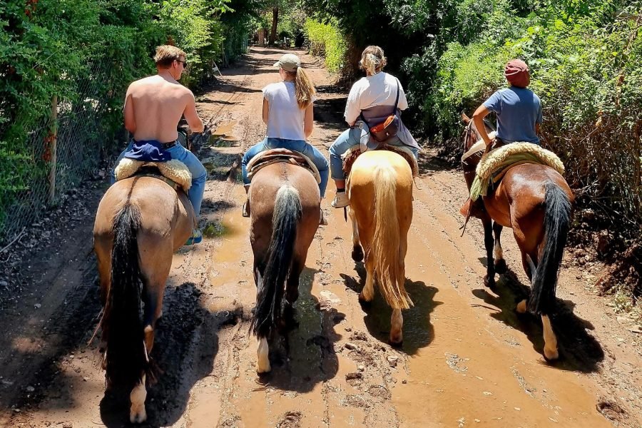 Horseriding At Sunset
