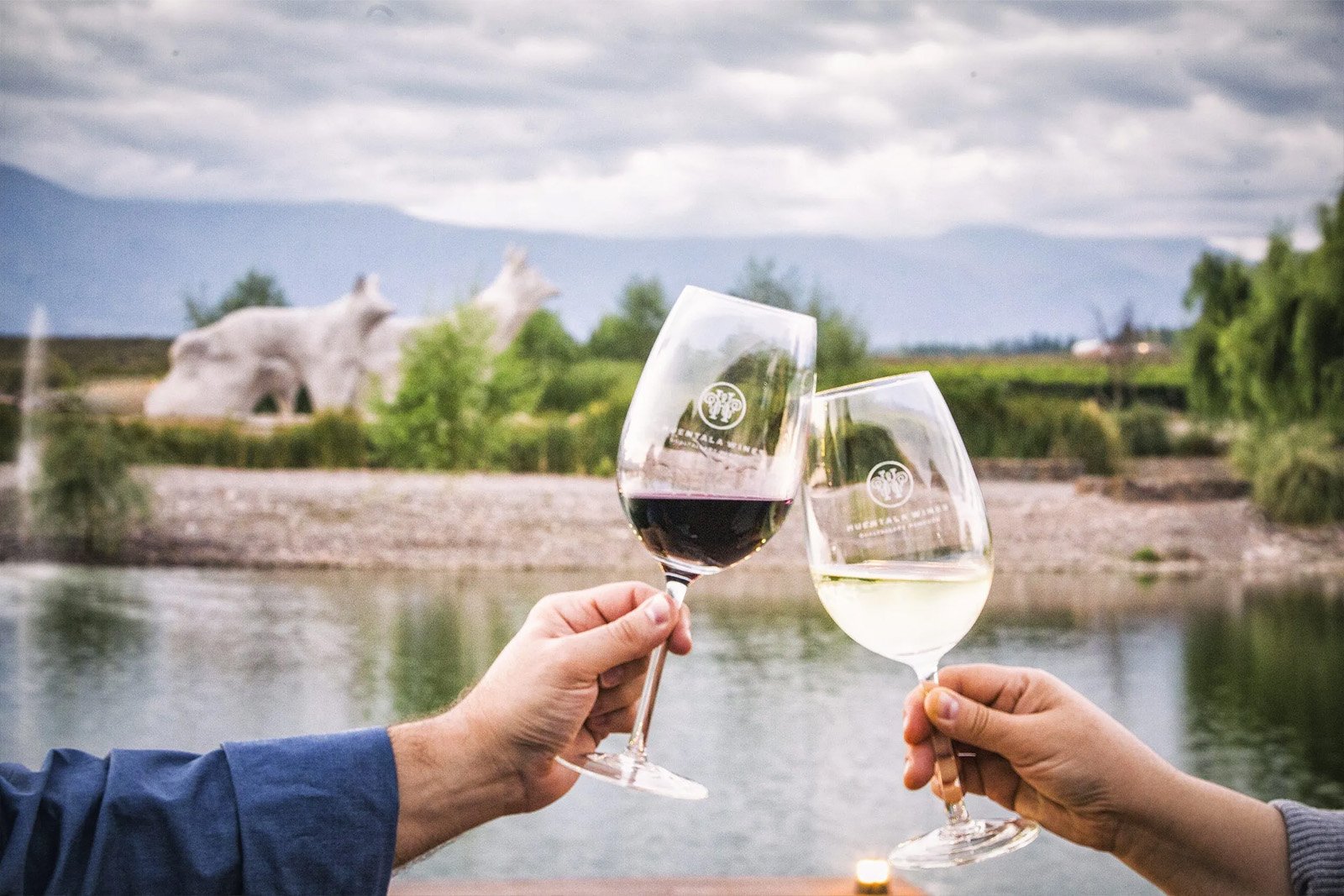 Trout & Wine