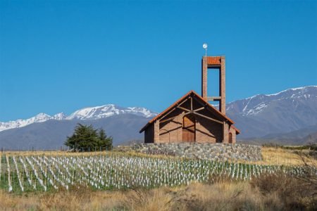 Andean Safari: Birds & Wildlife